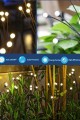 8 Led'li Güneş Enerjili Ateş Böceği Çiçek Lamba S-52