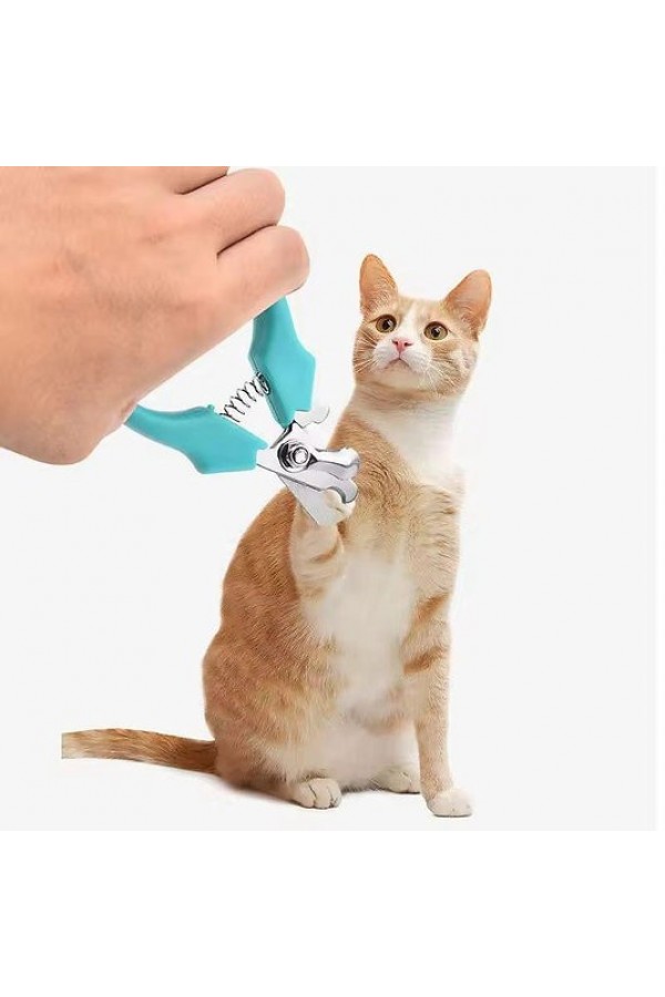 Yaylı Kedi Ve Küçük Irk Köpek Tırnak Makası