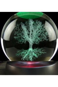 Ağaç Plastik Altlıklı Cam Küre