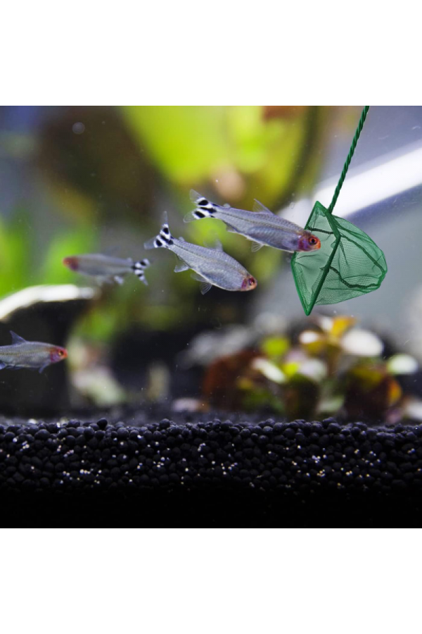 Akvaryum Balık Kepçesi 10 CM