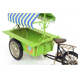 Dekoratif Metal Üç Tekerlekli Çiçek Arabası Biblo Hediyelik Dekoratif Metal Üç Tekerlekli Çiçek Arabası Biblo Hediyelik