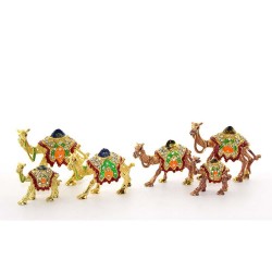 Deve Biblo Seti Deve Biblo Seti