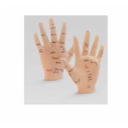 El Maketi Akupunktur Noktaları 835 El Maketi Akupunktur Noktaları 835