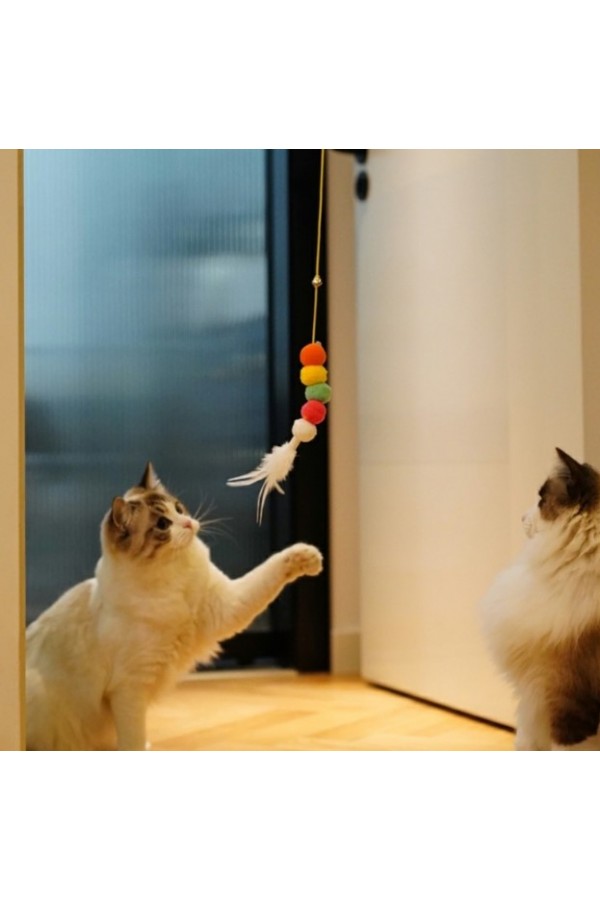 Elastik Kendinden Yapışkanlı Solucan Kedi Oltası