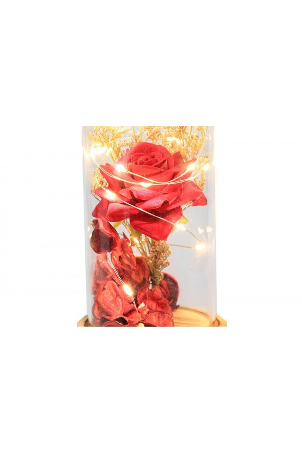 Fanus Gül 19/10cm Led Işıklı Cam Fanuslu Hediyelik