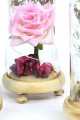 Fanus Gül 19/10cm Led Işıklı Cam Fanuslu Hediyelik