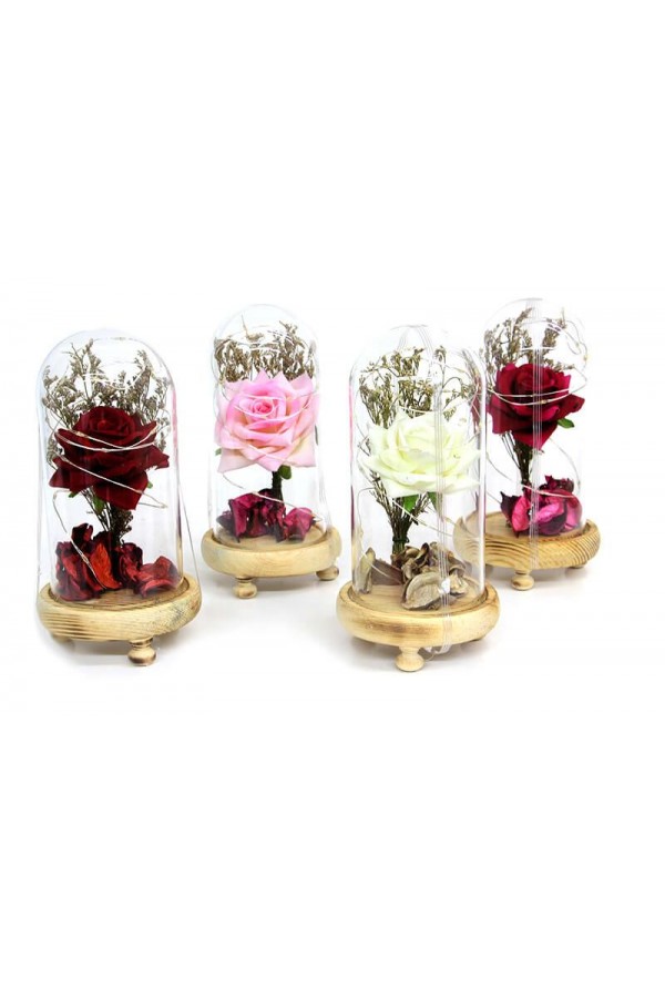 Fanus Gül 19/10cm Led Işıklı Cam Fanuslu Hediyelik