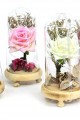 Fanus Gül 19/10cm Led Işıklı Cam Fanuslu Hediyelik