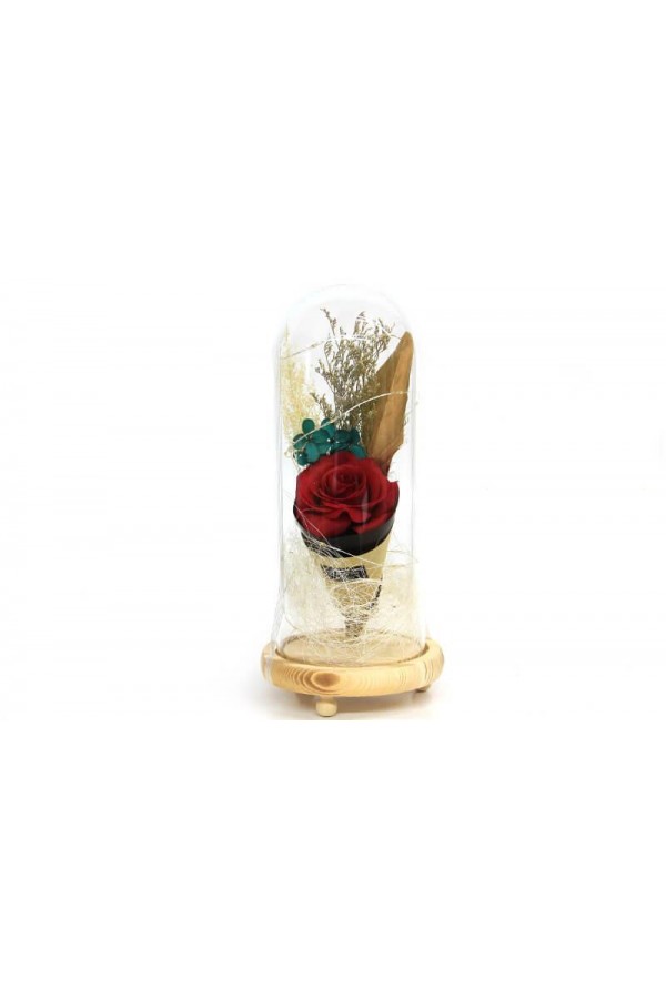 Fanus Gül 28/12cm Cam Fanus Led Işıklı Hediyelik