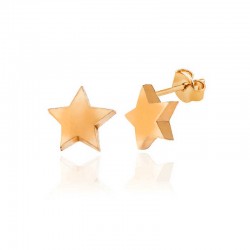 Gümüş Rose Yıldız Çivili Kadın Küpe Gümüş Rose Yıldız Çivili Kadın Küpe