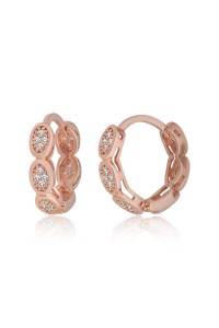 Gümüş Zirkon Taşlı Halka Kadın Küpe