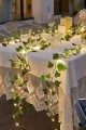 Güneş Enerjili Sarmaşık Led Dekor 5 Metre S-24