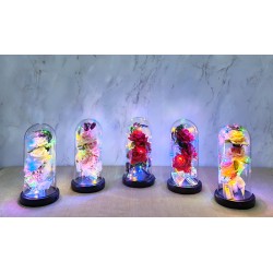 Işıklı Müzikli Cam Fanus İçinde Romantik Gül Işıklı Müzikli Cam Fanus İçinde Romantik Gül