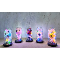 Işıklı Müzikli Fanus içinde Gül Buketi Işıklı Müzikli Fanus içinde Gül Buketi