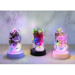 Işıklı Müzikli Romantik Fanus Tekli Gül Işıklı Müzikli Romantik Fanus Tekli Gül