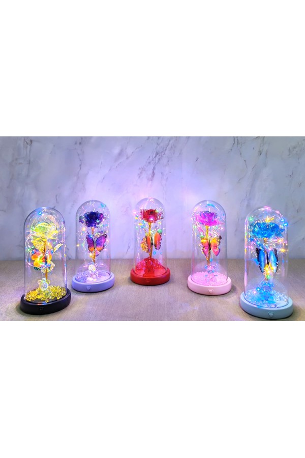 Işıklı Müzikli Romantik Kelebekli Fanus