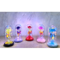 Işıklı Müzikli Romantik Kelebekli Fanus Işıklı Müzikli Romantik Kelebekli Fanus