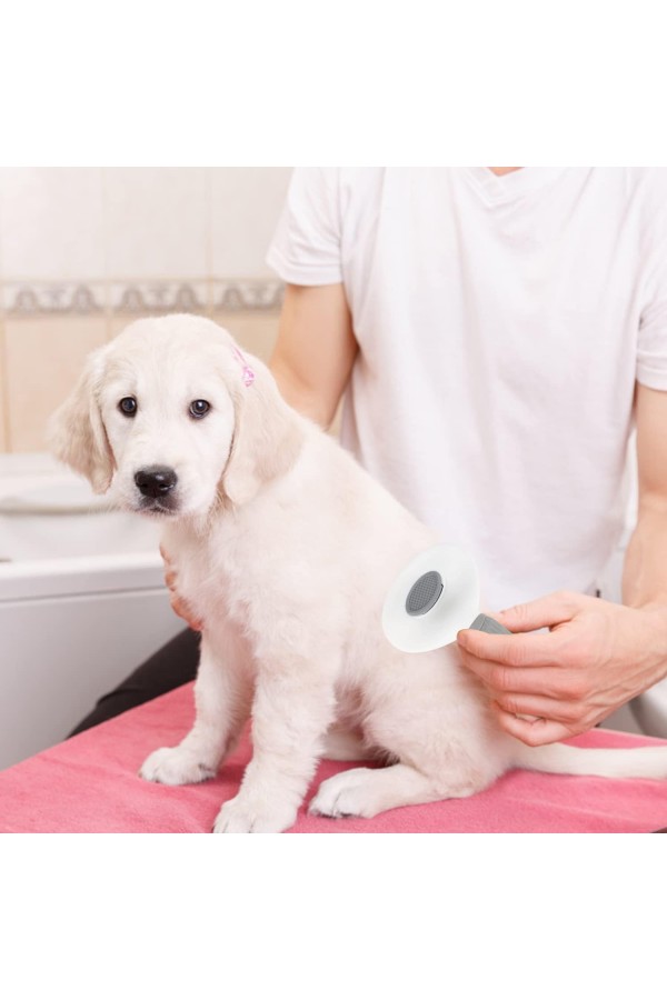 Kedi Köpek Tüy Toplayıcı  Pet Tarak 20 cm