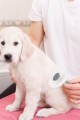 Kedi Köpek Tüy Toplayıcı  Pet Tarak 20 cm