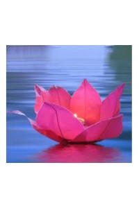 Nilüfer Su Çiçeği Su Feneri