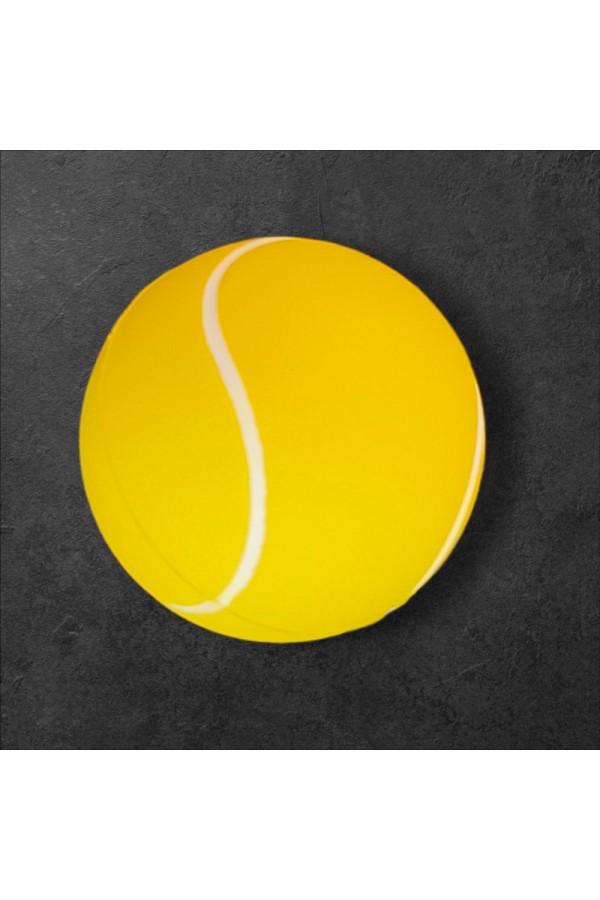 Evcil Hayvan Oyun Topu Small