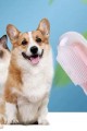 Evcil Hayvan Kedi Köpek Parmağa Takılan Diş Kaşıma Fırçası