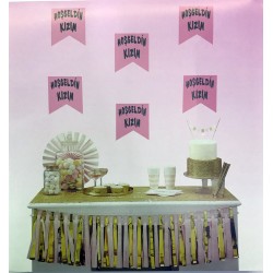 Parti Malzemeleri Pembe Üzeri Gümüş Renk Hoşgeldin Kızım Bayrak Süs