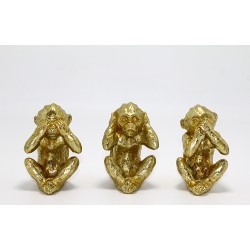 Polyester 3 Maymun Polyester 3 Maymun