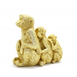 Polyester 3 Maymun Polyester 3 Maymun