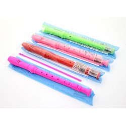 Renkli Plastik Flüt Renkli Plastik Flüt