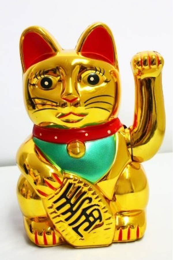 Şanslı Kedi