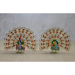 Tavuskuşu Biblo Tavuskuşu Biblo