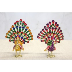 Tavuskuşu Biblo Tavuskuşu Biblo