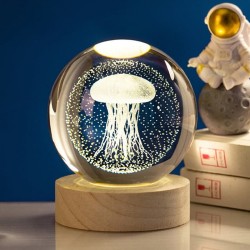 Deniz Anası Işıklı Cam Küre Deniz Anası Işıklı Cam Küre