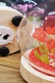 Led Işıklı Lale Cam Fanus