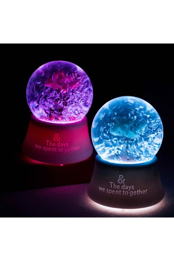 Orta Boy Romantik Çiftler Temalı Kar Küresi