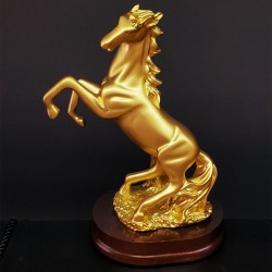 Şaha Kalkan Gold Renk At Biblosu Şaha Kalkan Gold Renk At Biblosu