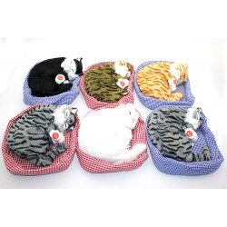 Yastıkda Uyuyan Horlayan Kedi Sesli Yastıkda Uyuyan Horlayan Kedi Sesli