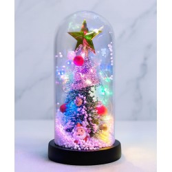 Yılbaşı Temalı Işıklı  Dekoratif Cam Fanus